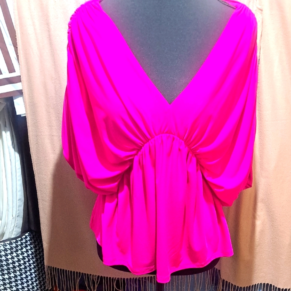 Express Fuchsia V-Neck Blouse